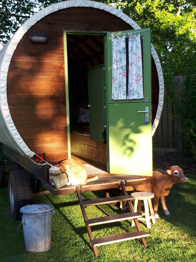Irish Bowtop Op Het Platteland Van Huize Ouwervelden Wouwsche Plantage Extérieur photo